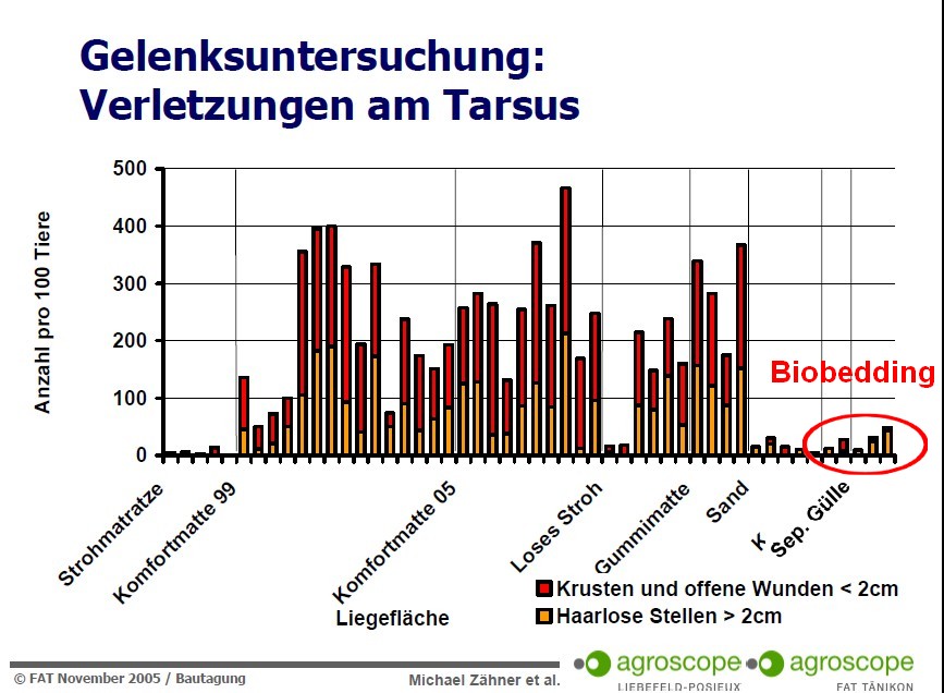 Leg injuries vs bedding Swiss study1