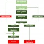 Biobedding process